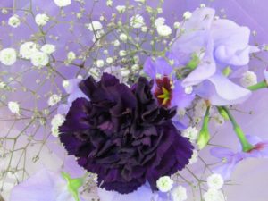 紫のカーネーションの花言葉